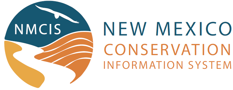 NM CIS Logo