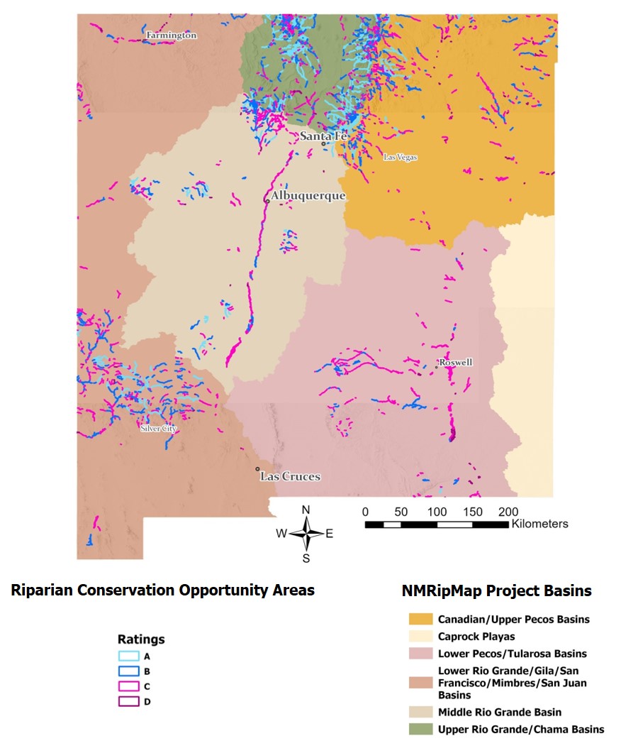RCOAs overview